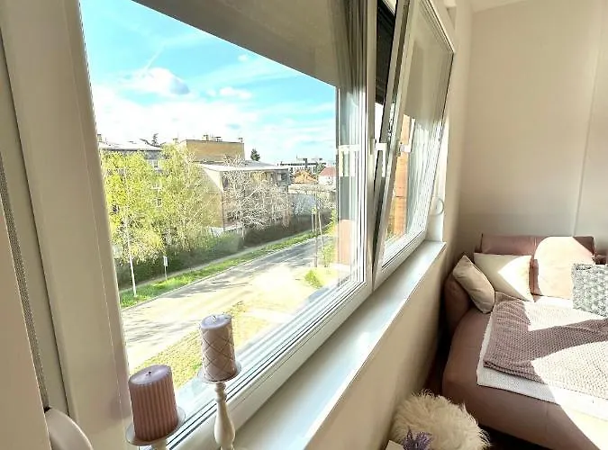 Peace Place Novi Sad * Sremska Kamenica